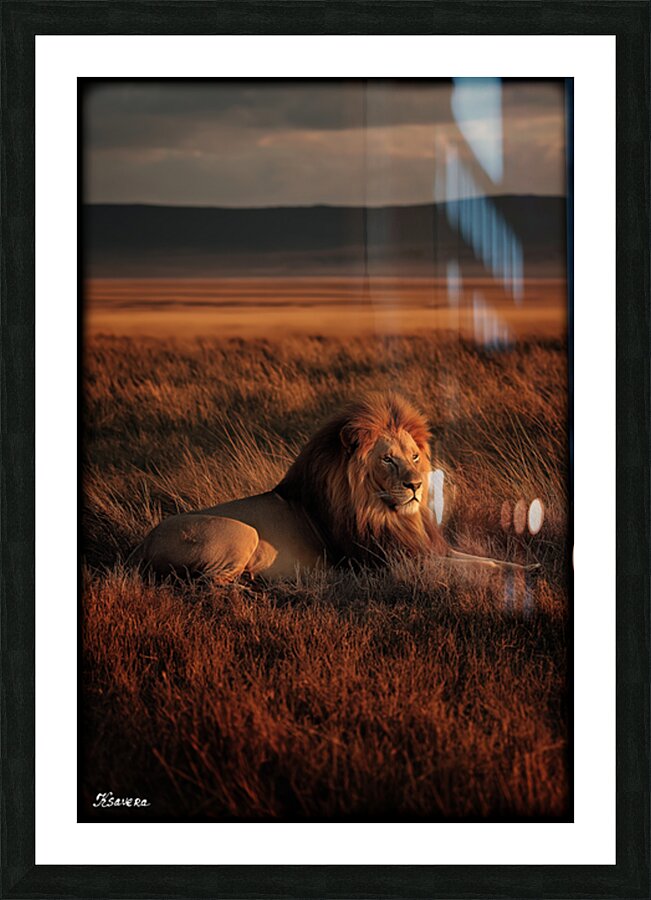FA 25 2x3 704 Picture Frame print