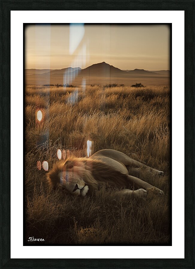 FA 25 2x3 712 Picture Frame print