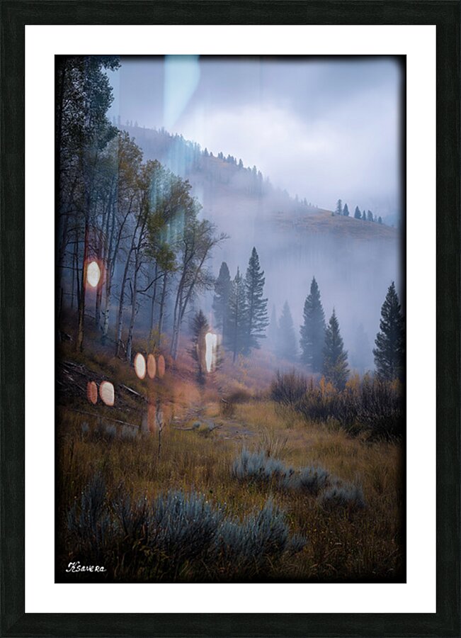 FA 25 2x3 812 Picture Frame print