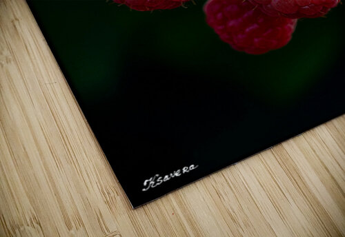 Raspberry FA 25 2x3 594 Ksavera ART puzzle