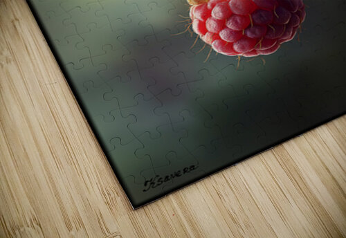 Raspberry FA 25 2x3 592 Ksavera ART puzzle