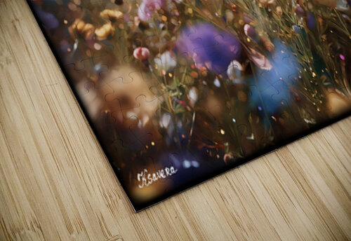 FA 25 2x3 694 Ksavera ART puzzle