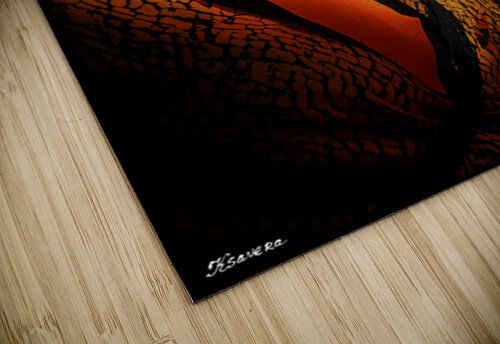 FA 25 2x3 707 Ksavera ART puzzle