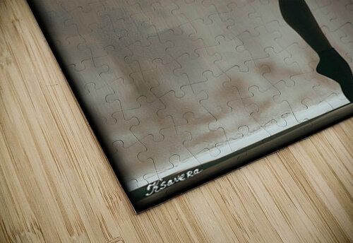 FA 25 2x3 710 Ksavera ART puzzle