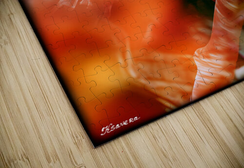 FA 25 2x3 749 Ksavera ART puzzle