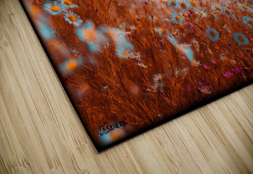FA 25 2x3 691 Ksavera ART puzzle