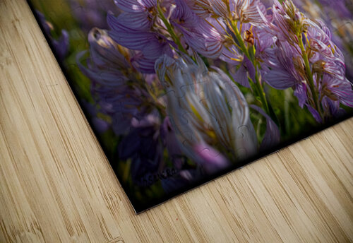 FA 25 2x3 693 Ksavera ART puzzle