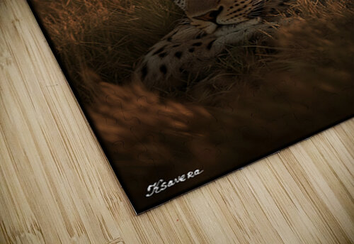 FA 25 2x3 730 Ksavera ART puzzle