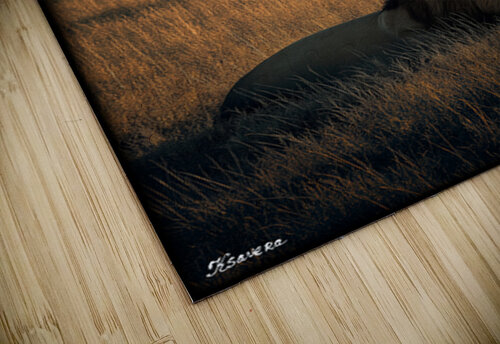 FA 25 2x3 708 Ksavera ART puzzle