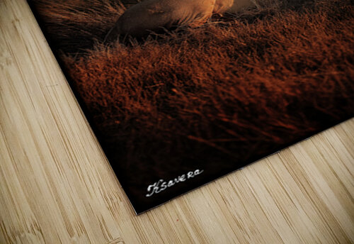 FA 25 2x3 704 Ksavera ART puzzle