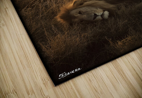 FA 25 2x3 712 Ksavera ART puzzle