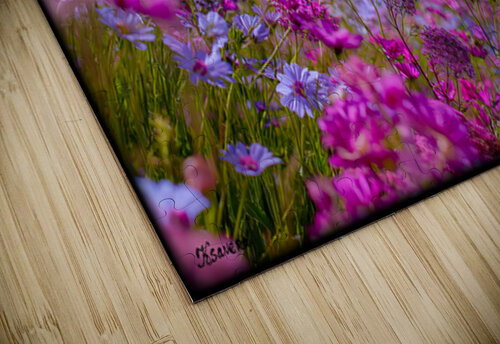 FA 25 2x3 692 Ksavera ART puzzle