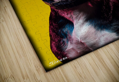 FA 25 2x3 790 Ksavera ART puzzle