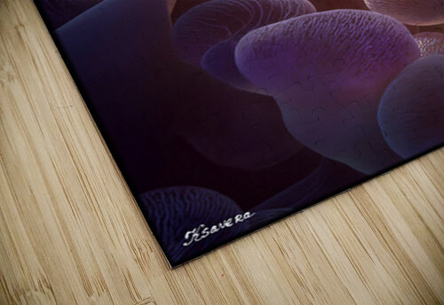 FA 25 2x3 828 Ksavera ART puzzle