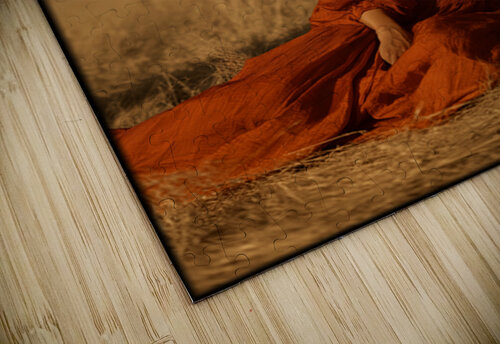 FA 25 2x3 913 Ksavera ART puzzle