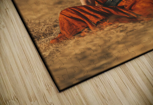 FA 25 2x3 896 Ksavera ART puzzle