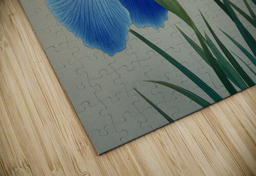 FA 25 2x3 944 Ksavera ART puzzle