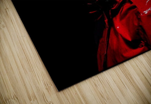 FA 25 2x3 1036 Ksavera ART puzzle