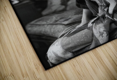 FA 25 2x3 1041 Ksavera ART puzzle