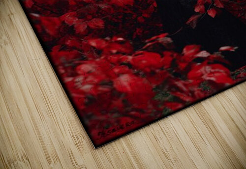 FA 25 2x3 1069 Ksavera ART puzzle