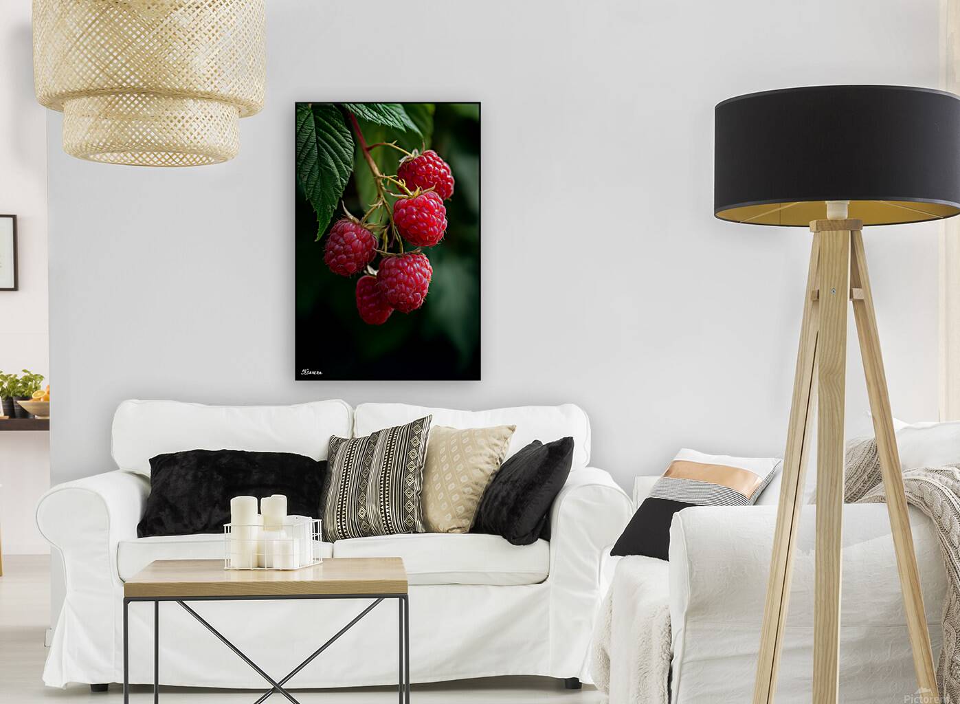 Raspberry FA 25 2x3 594 Reproduction