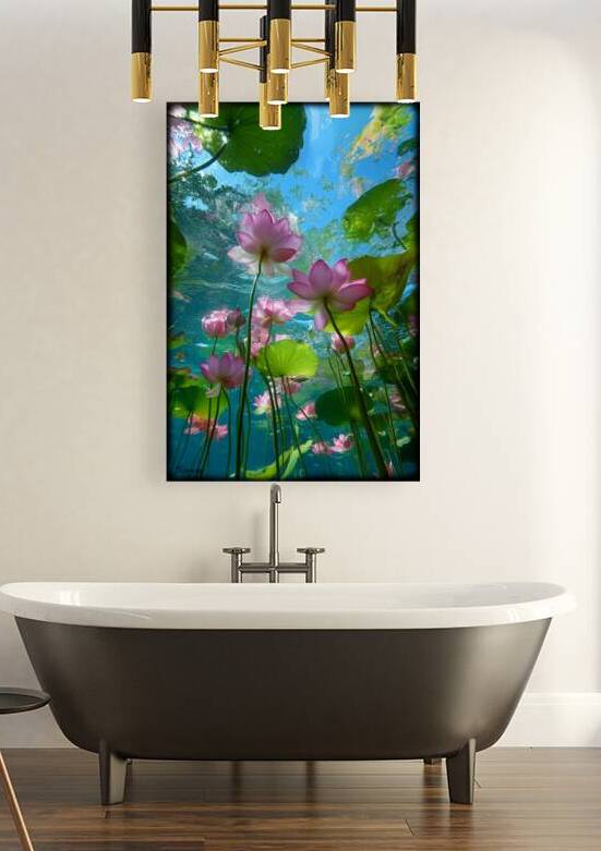 Lotus underwater FA 25 2x3  360 by Ksavera ART