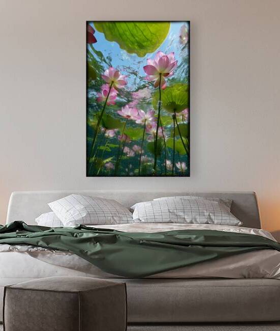 Lotus underwater FA 25 2x3  361 by Ksavera ART