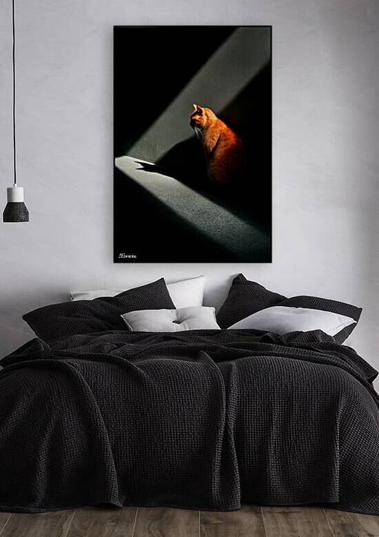Ginger cat FA 25 2x3 618 by Ksavera ART