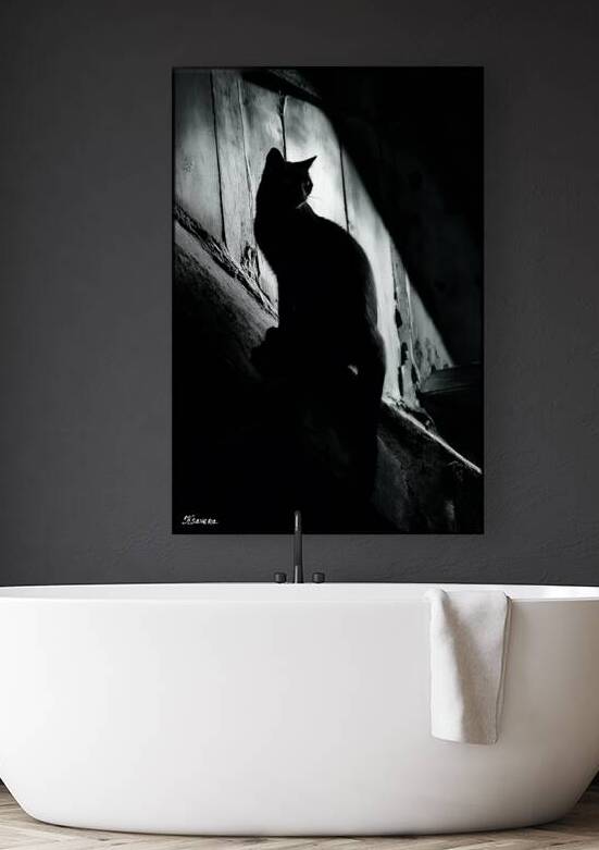 Black cat FA 25 2x3 607 by Ksavera ART