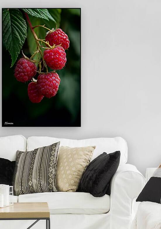 Raspberry FA 25 2x3 594 Reproduction