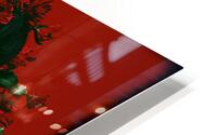 Geisha FA 25 2x3  321 HD Metal print