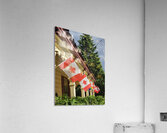 9077 Acrylic Print