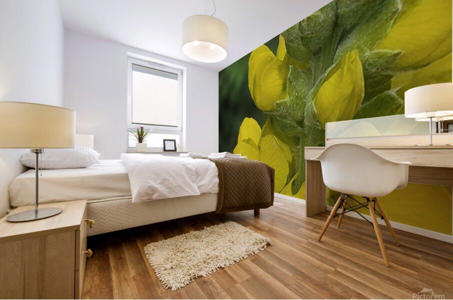 9085 Mural print