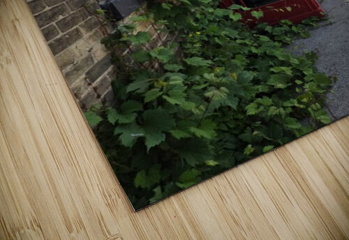 9156 ACS PHOTOGRAPHY puzzle