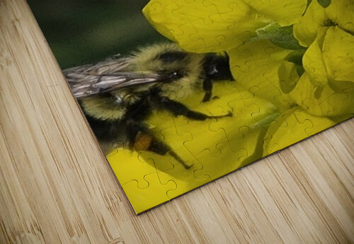 9085 ACS PHOTOGRAPHY puzzle