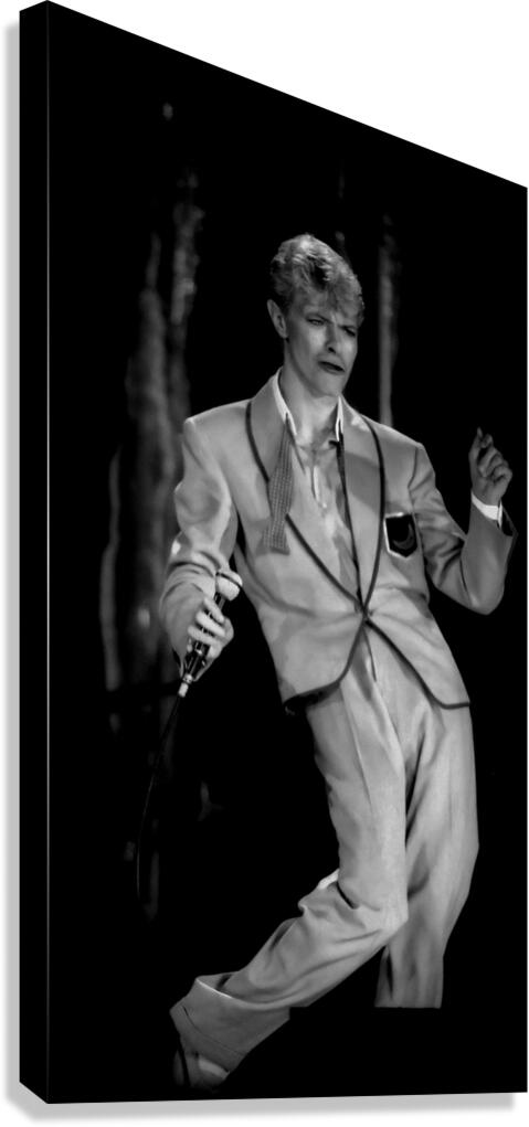 David Bowie