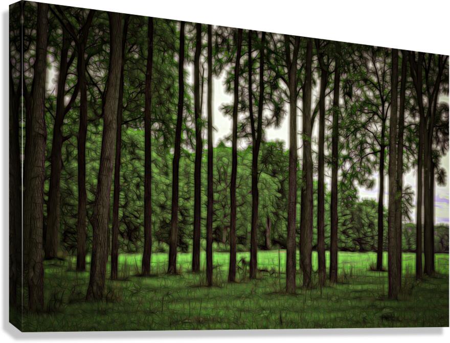 Trees Lambton Countty