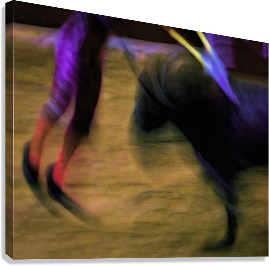 Bullfight