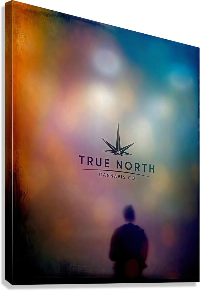 True North