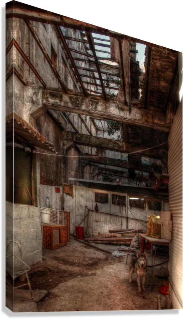 Havana