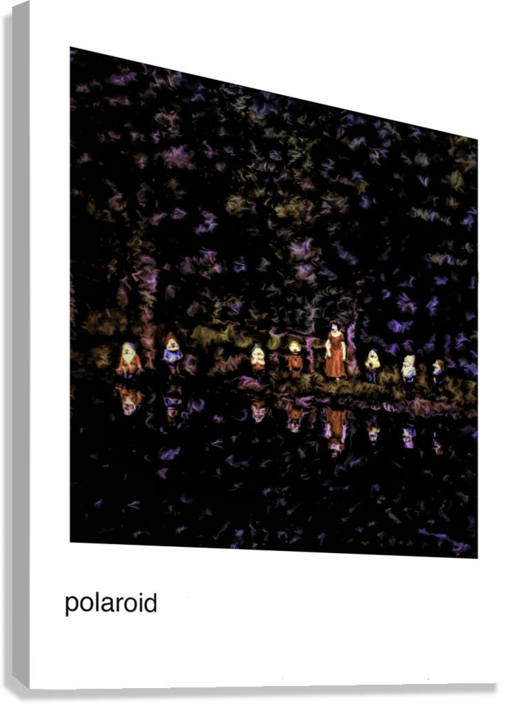 Polaroid