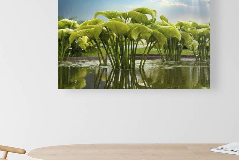 Lily plants in the garden wet after rain green le 1722848138.4313 by Marius Tomus
