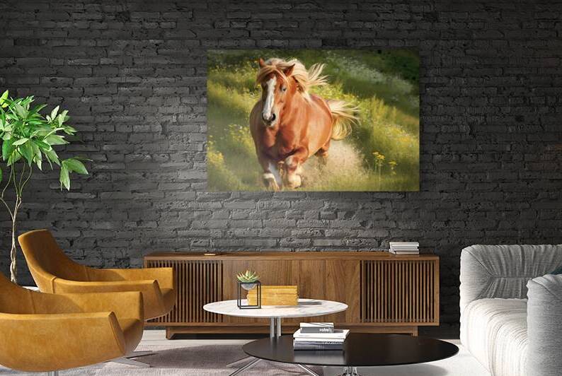 Haflinger horse galloping free in the meadow 1.jp by Marius Tomus