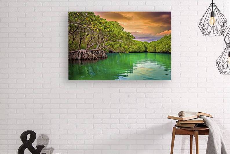 Mangrove trees along the turquoise green water 1. by Marius Tomus