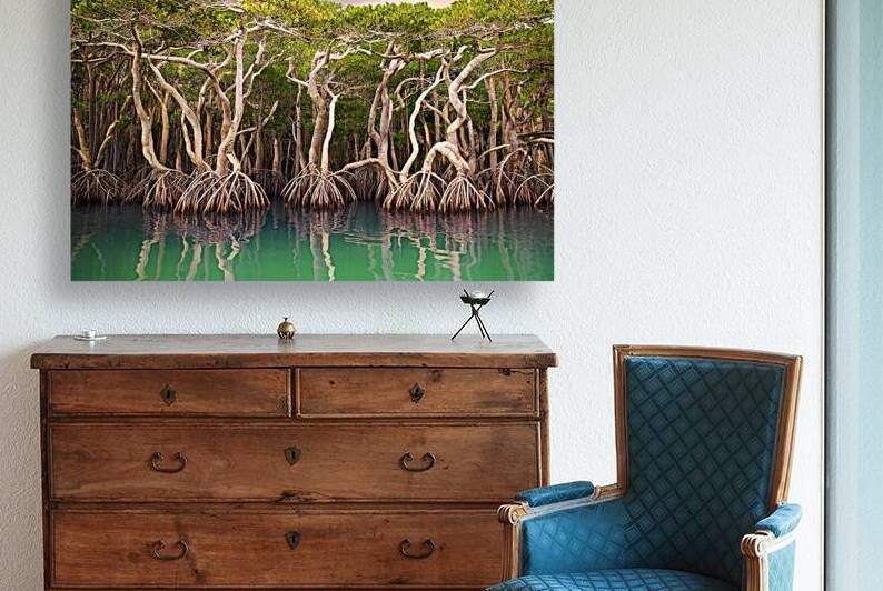 Mangrove trees along the turquoise green water 2. by Marius Tomus