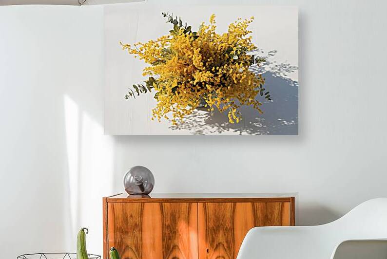 A bouquet of mimosa flowers on a white background by Marius Tomus