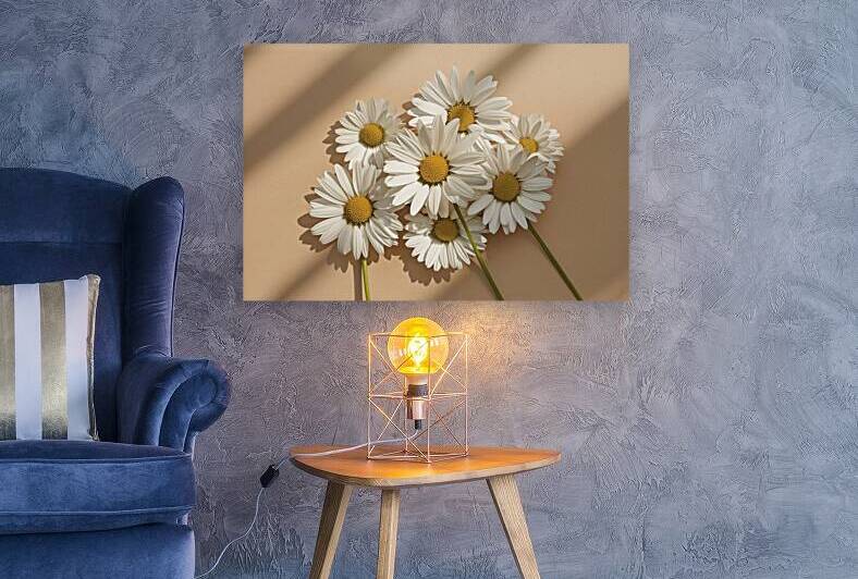 Elegant aesthetic chamomile daisy flowers pattern by Marius Tomus