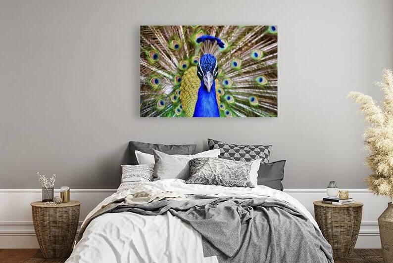 beautiful peacock head with a tuft close up 4 by Marius Tomus