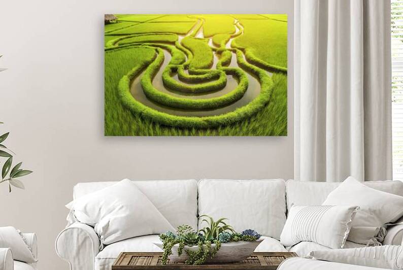 Aerial image of beautiful green paddy rice field  1723015153.6699 by Marius Tomus