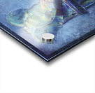 Elephant Acrylic print